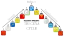 reed-ben-trecena-wave-trecena-cycle