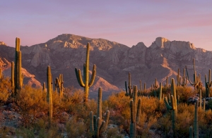 Catalina Mountains, Tucson, Arizona