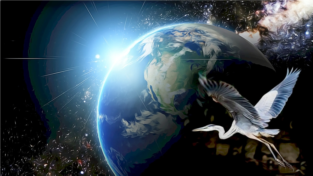 Vision Quest: Forces of Nature (4 Earth/CABAN) | Jaguar Spirit